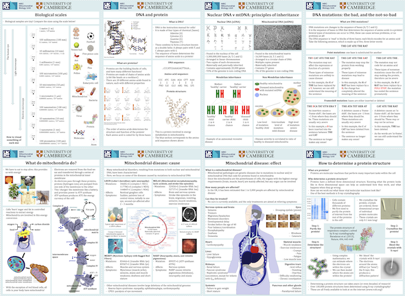 Posters 2022