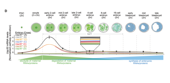 Image of figure 1 D